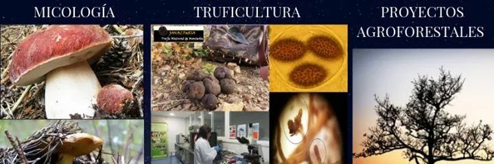 masquesetas's profile banner image