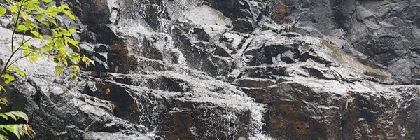 dtothe_c Profile Banner