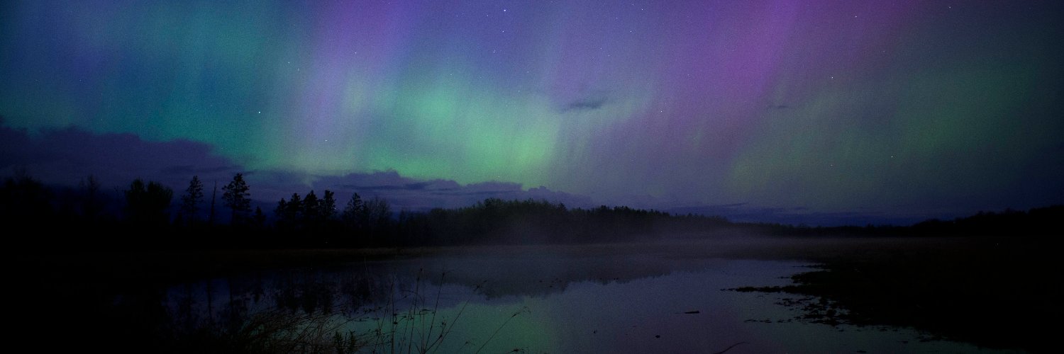 The Minnesota Star Tribune's banner