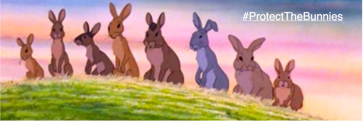 Steve Brunswick banner