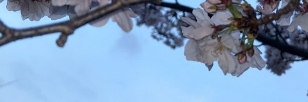 neging01 Profile Banner