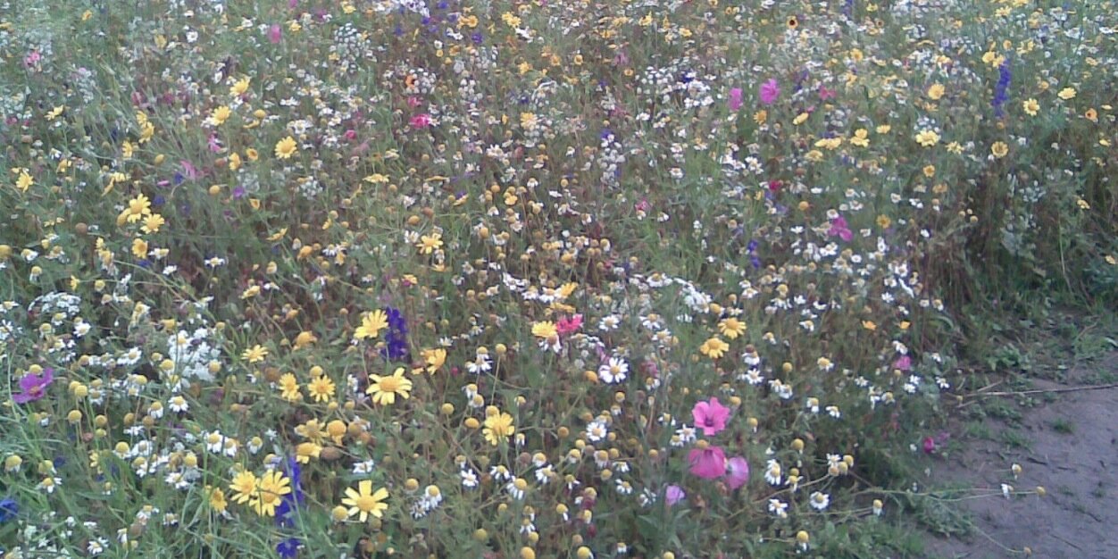 John Sweet #KeepJuryTrial banner