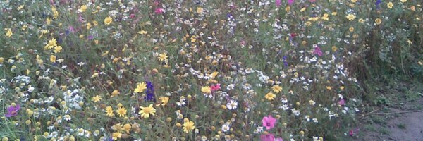 RedAluma Profile Banner