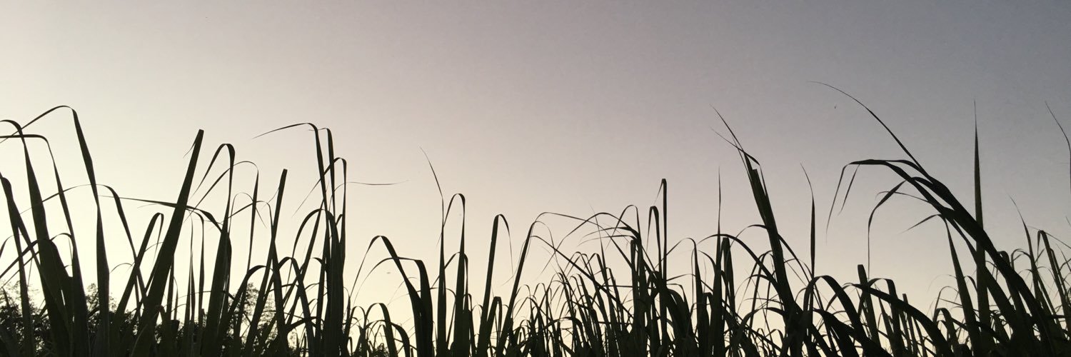 JoshPowers banner