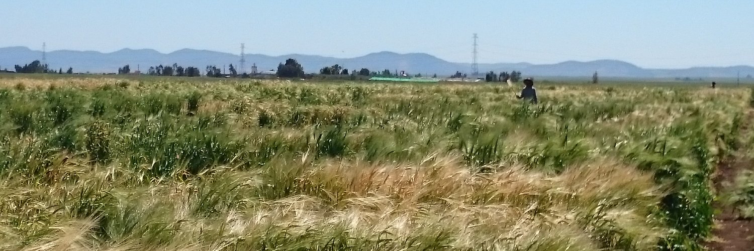 BackToTheFuture_Barley banner