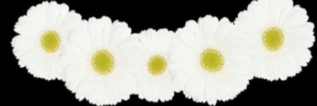 Ree2000em's profile banner image