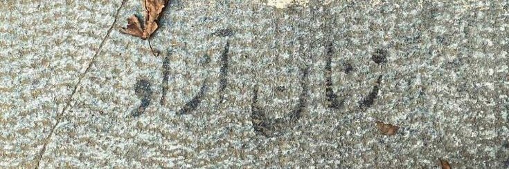 obludo banner