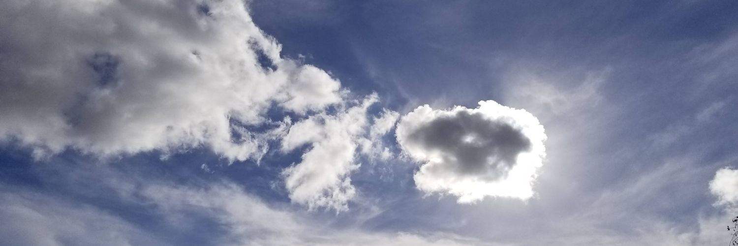 stevebuccola's profile banner image