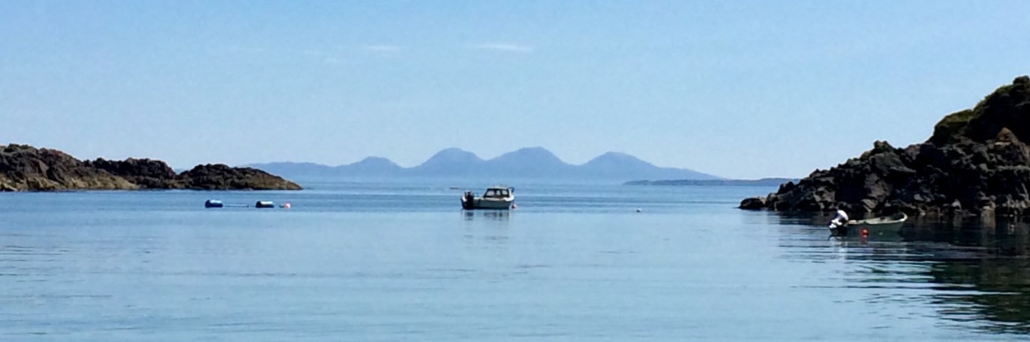 Daniel Stallard banner