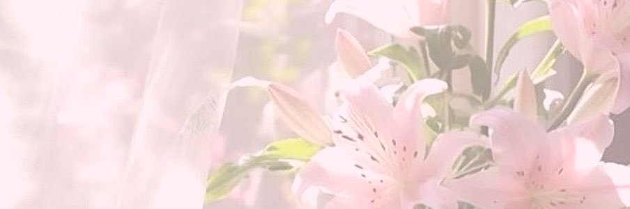 hximme's profile banner image