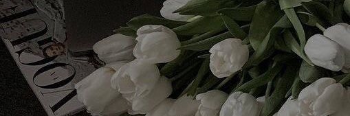 selena banner