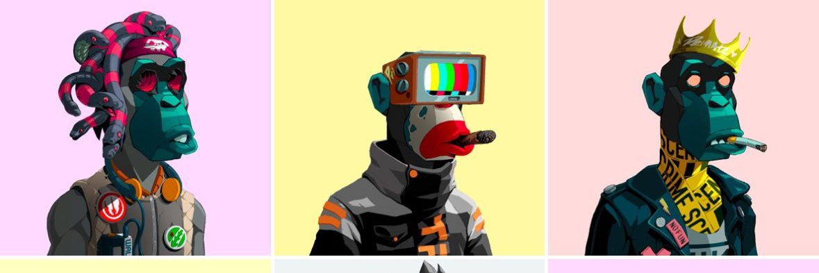 briqht_Dev's profile banner image