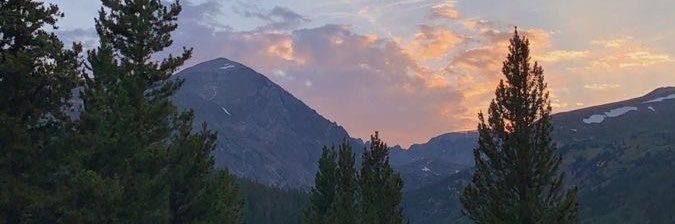 ᝰ.ᐟ banner