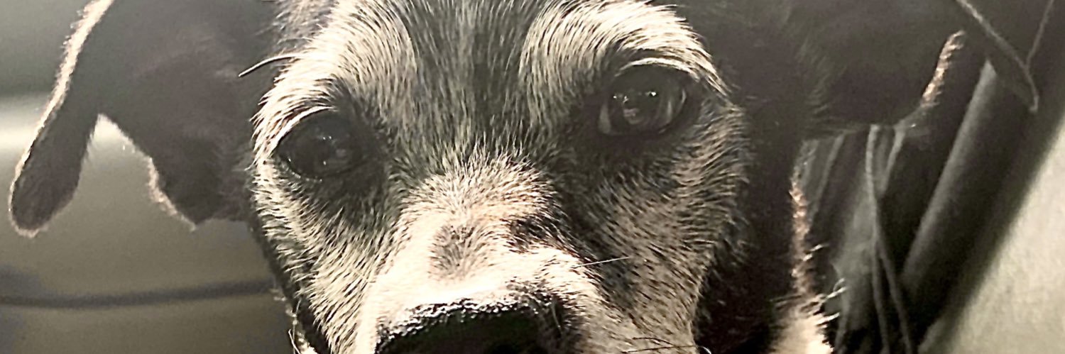 TerryBurdenRawk's profile banner image