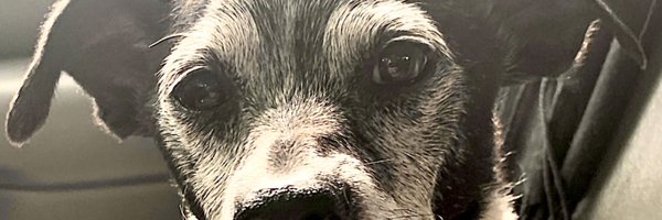 TerryBurdenRawk Profile Banner