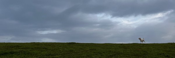 SnehaThapliyal Profile Banner