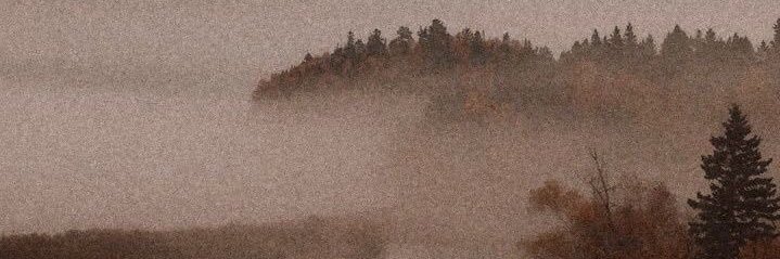 Wallflower💫 banner