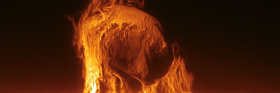 mcvesteves's profile banner image