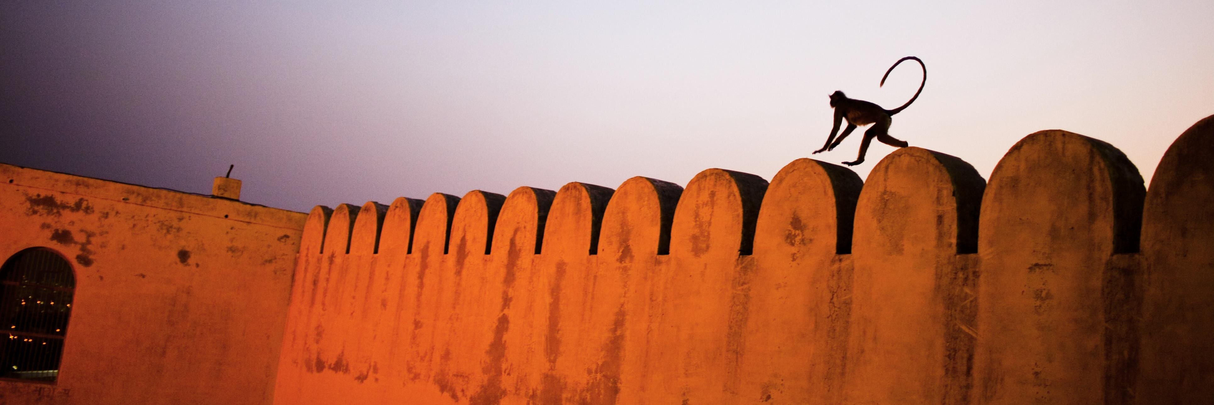 kuperberg's profile banner image
