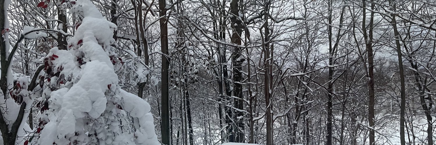 LauraEJones349's profile banner image