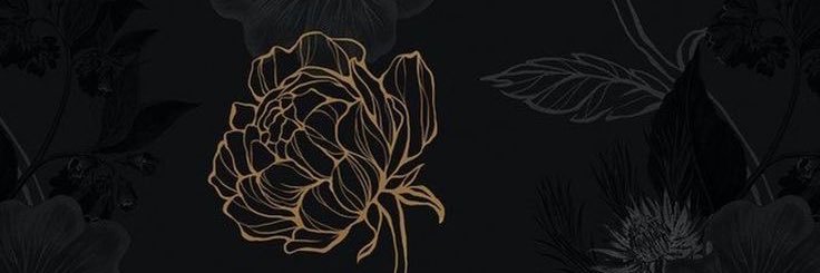 Glohanx2's profile banner image