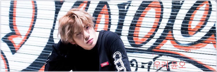icevalentine2's profile banner image