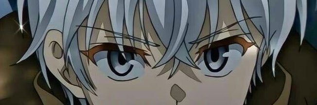 flipsski's profile banner image