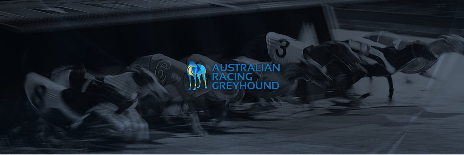 Greyhound Racing banner