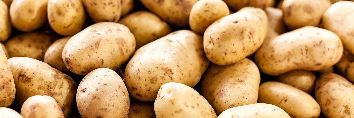 RickCowley's profile banner image