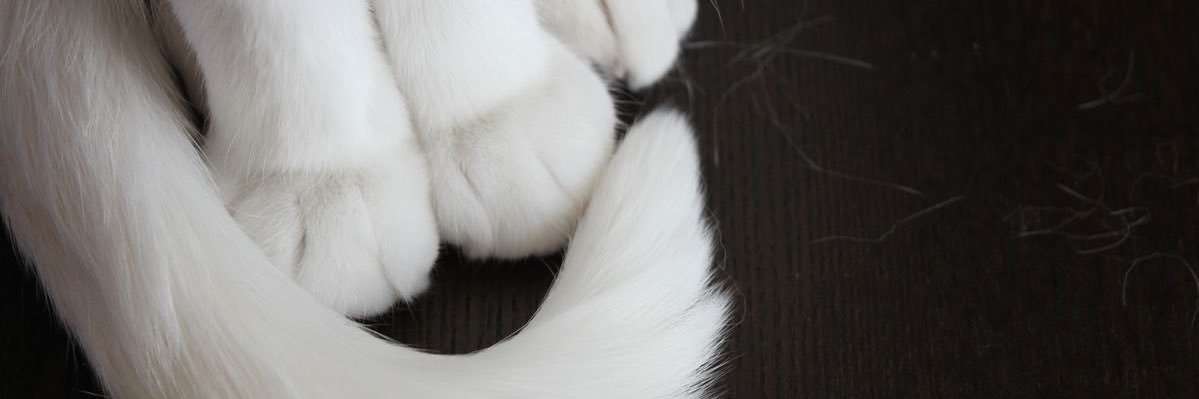 - banner