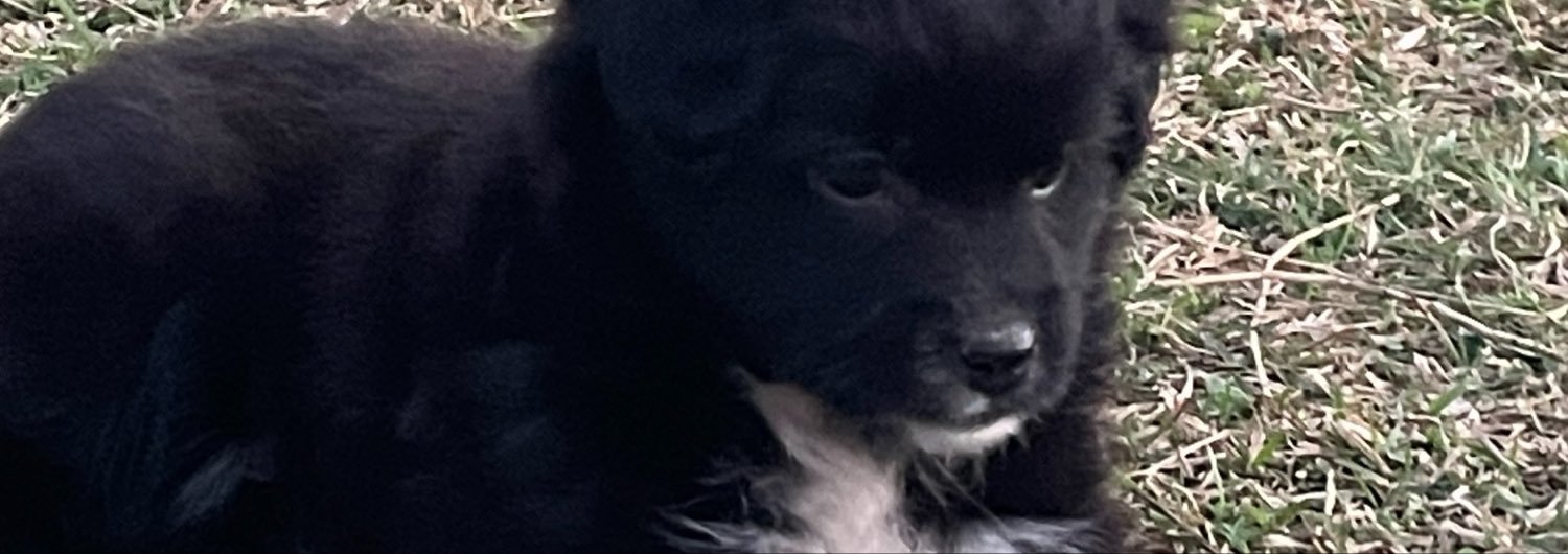 jnyy082's profile banner image