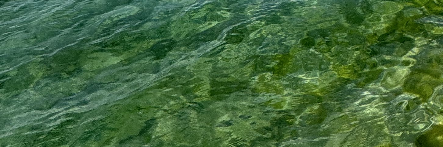 leonardo origa banner