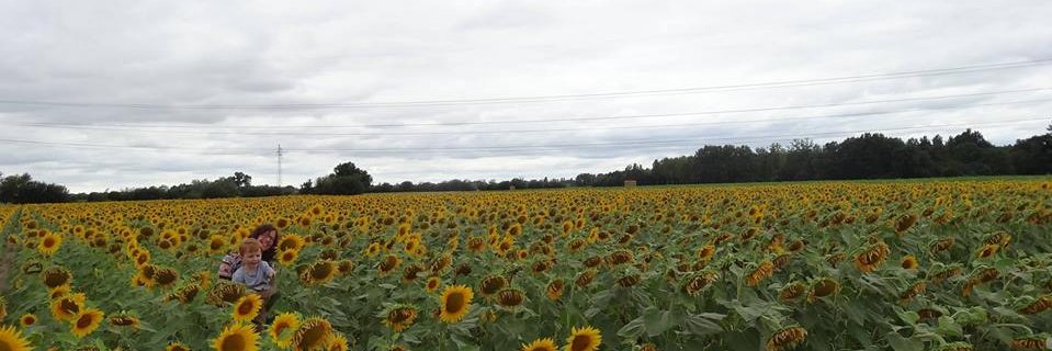 ElendeLacy's profile banner image