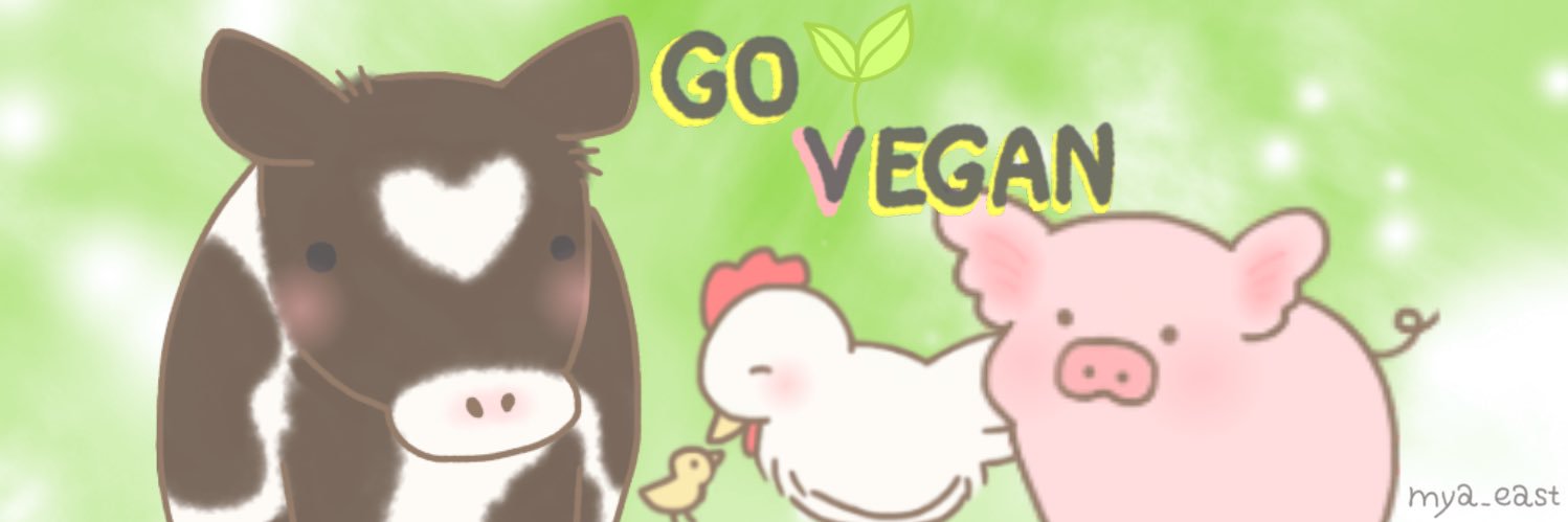 e banner