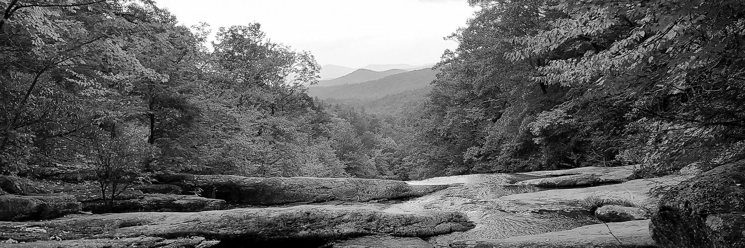 Steven McNutt banner