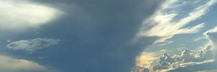 camila banner