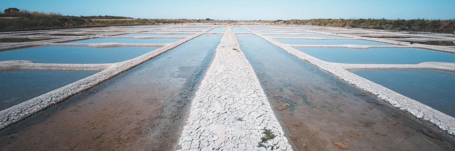 Xavier Fournier 🇨🇵🇪🇺🧂 banner