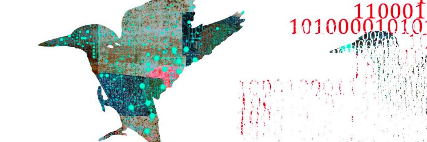 Marek Kapturkiewicz banner