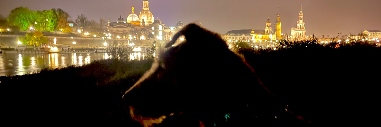 Loni Quaddel 🪝🍀🗝️🧭🐧 banner