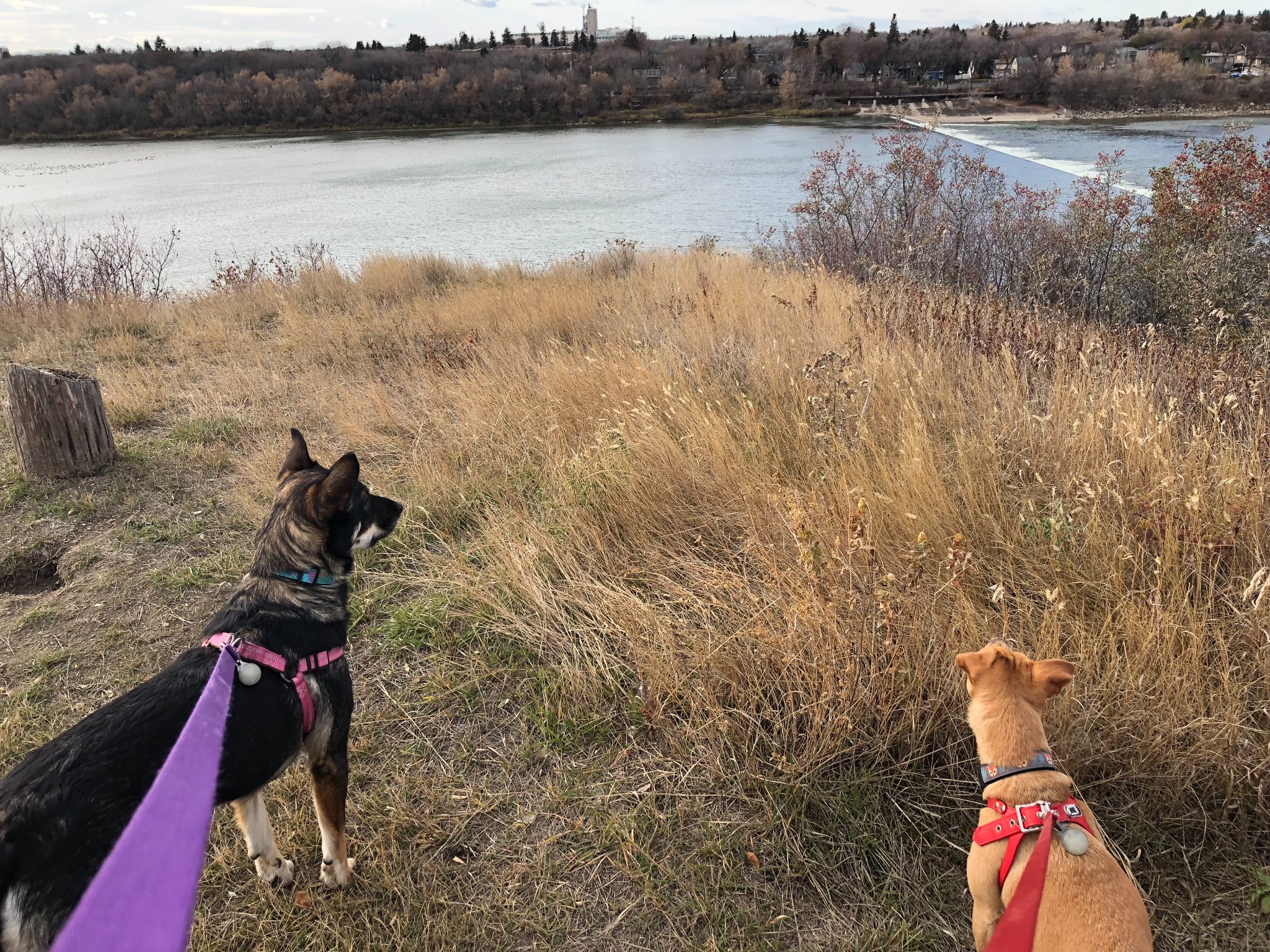 BridgeCityFit's profile banner image
