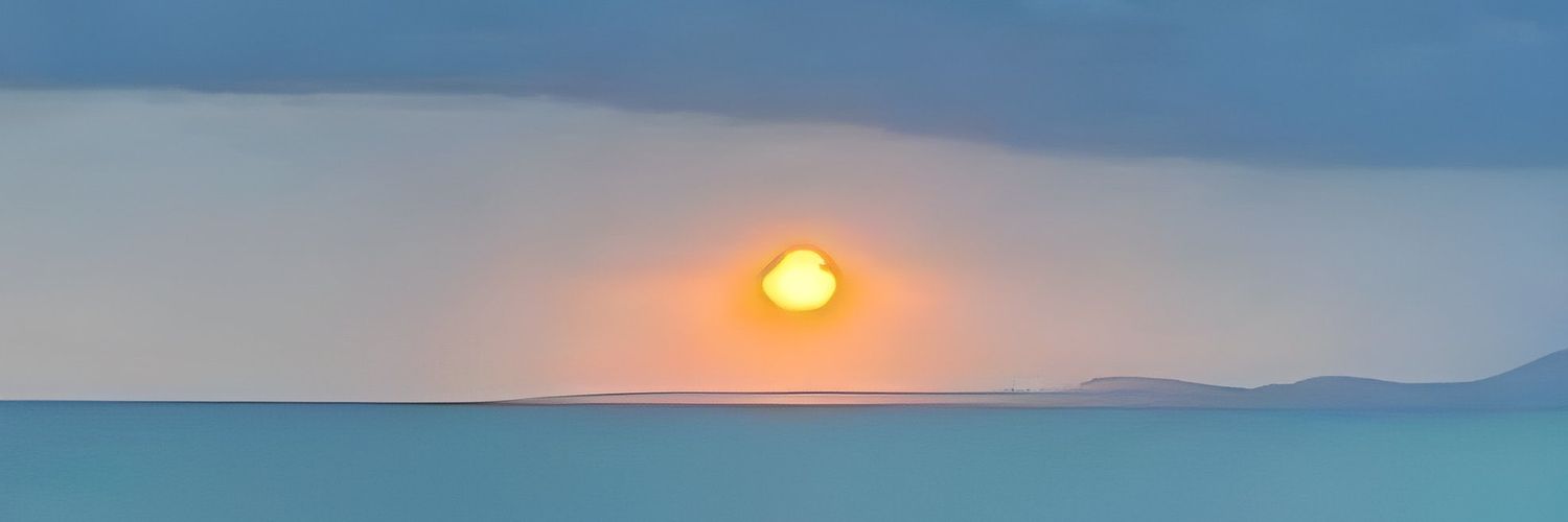 Paulo D. Wallace banner