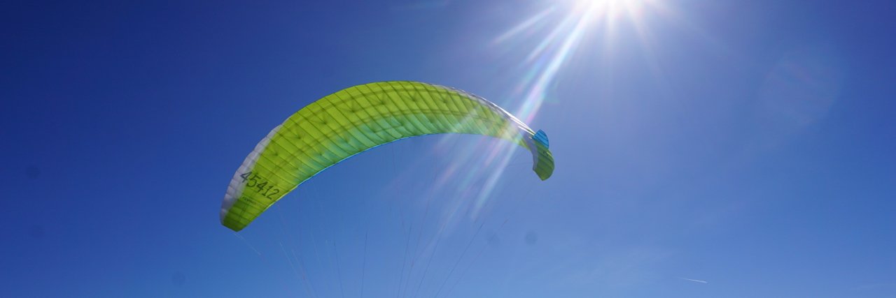 Liliane Minor banner