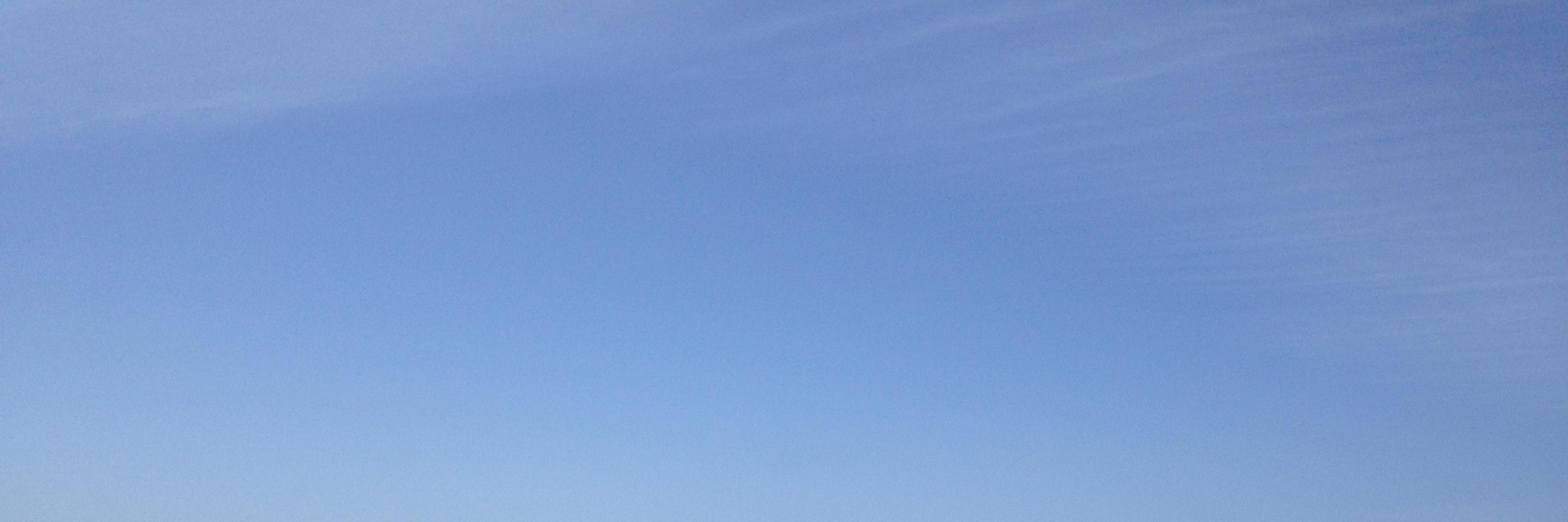 NowCow banner