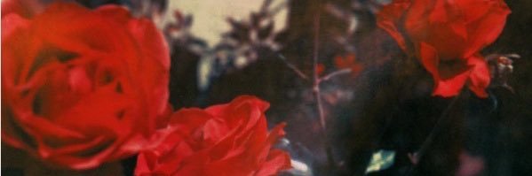 AP ☾ banner