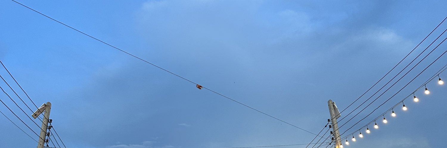 za_npp's profile banner image