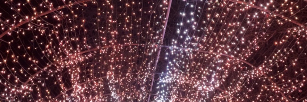 ZoeeM93's profile banner image