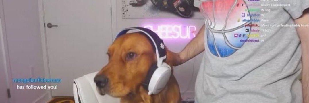 Cheesurr445's profile banner image