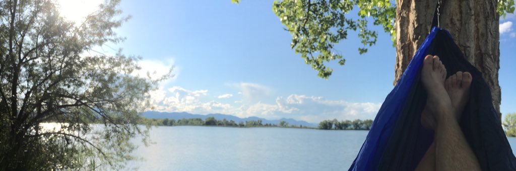 ziggyzavack's profile banner image