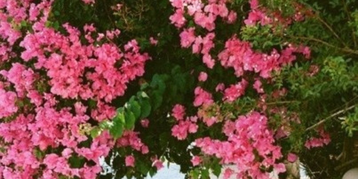 kuztaeva's profile banner image