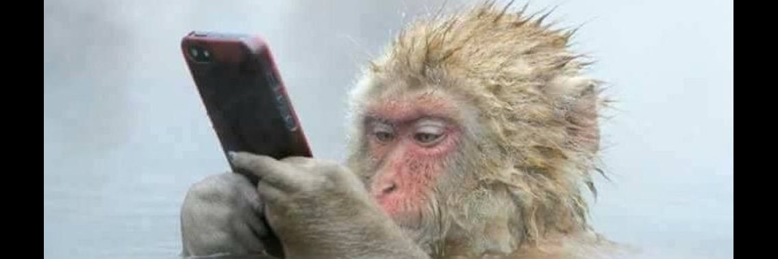 TCR107 🇨🇦 banner